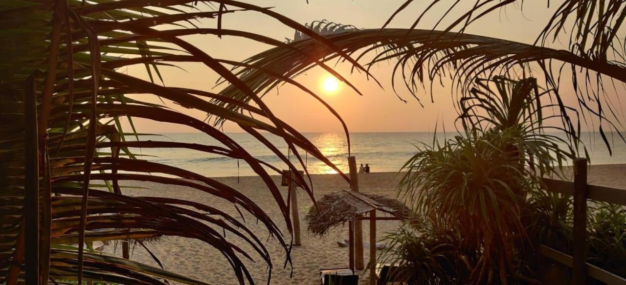 Sailors' Bay Bed & Breakfast Hikkaduwa Bagian luar foto